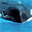 Free Humpback Whales Screensaver icon